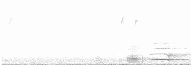 Cuervo Grande - ML618045525