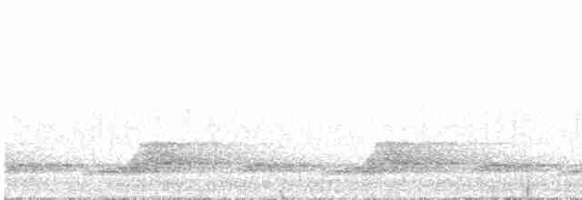 Schwarzkehl-Nachtschwalbe - ML618045586