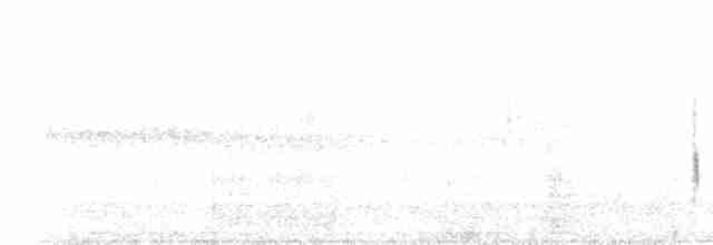 Травяной крапивник (aequatorialis) - ML618045703
