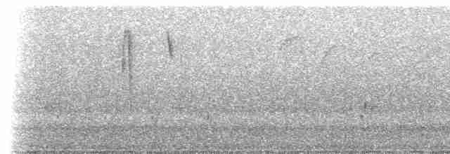 Чернохвостая комета - ML618045721