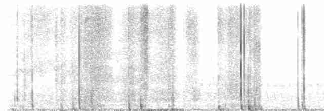 Cerulean Warbler - ML618045989