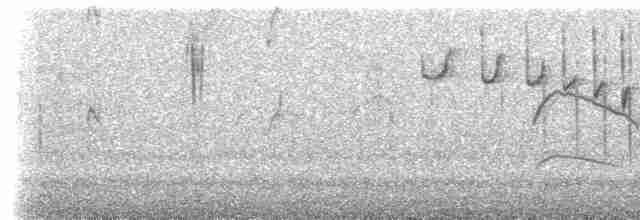Чернохвостая комета - ML618046057