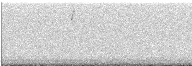 Дроздовый певун - ML618046435
