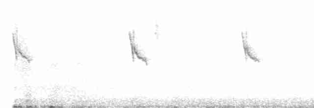 アメリカツリスガラ - ML618046993