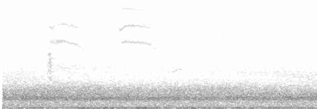 nordmyggsmett (caerulea) - ML618047993