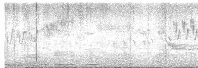 Cerulean Warbler - ML618048014