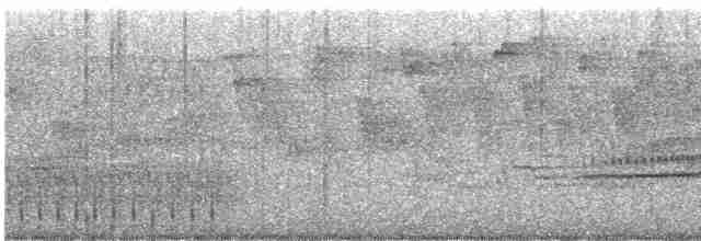 Turuncu Ardıç - ML618048655