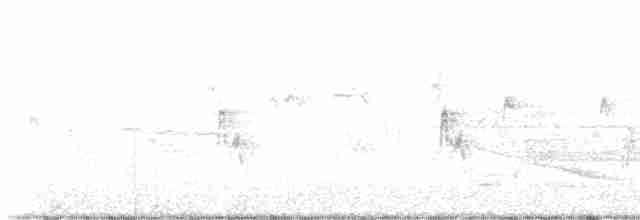 Oriole des vergers - ML618048713