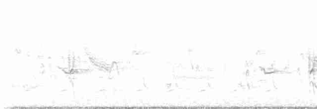 Oriole des vergers - ML618048897