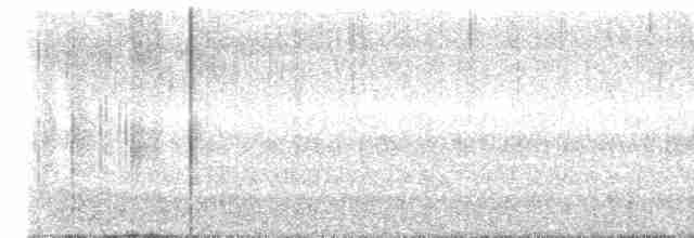 Трясогузковый певун - ML618049203