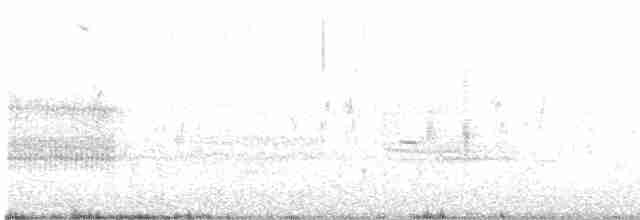 סנונית רפתות - ML618049791