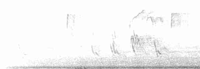 Büyük Mor Kırlangıç - ML618050323
