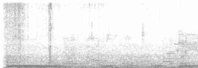 Al Kanatlı Karatavuk [phoeniceus grubu] - ML618053065