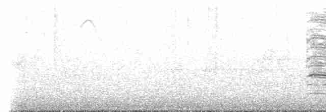 Küçük Boreal Sinekkapan - ML618053413