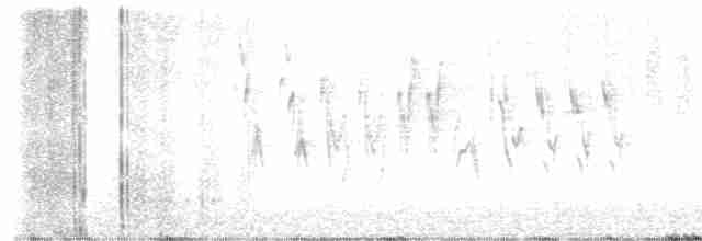 Rostscheitelammer - ML618053574