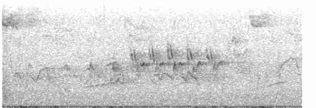 Cerulean Warbler - ML618054854