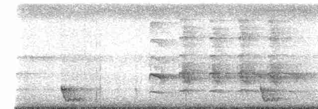 Large-tailed Nightjar - ML618055379