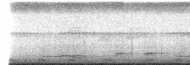 Langschwanz-Nachtschwalbe - ML618055381