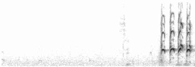 Whimbrel (Hudsonian) - ML618056196