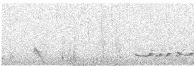 Whimbrel (Hudsonian) - ML618056216