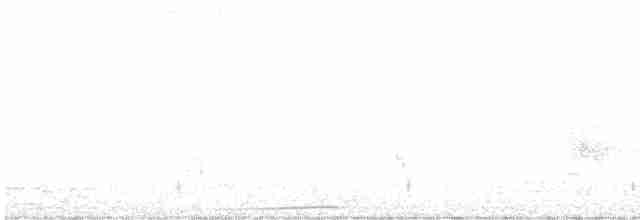 holub stříbroramenný - ML618056608