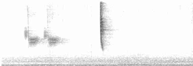 revespurv (schistacea gr.) (skiferrevespurv) - ML618057376