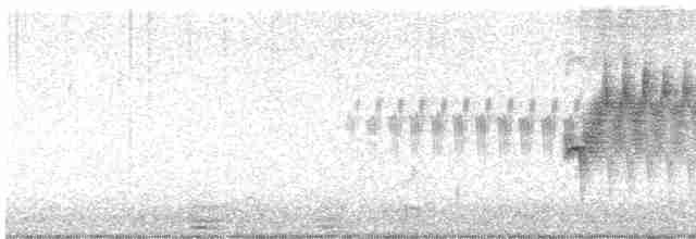 Bruant fauve (groupe schistacea) - ML618057379