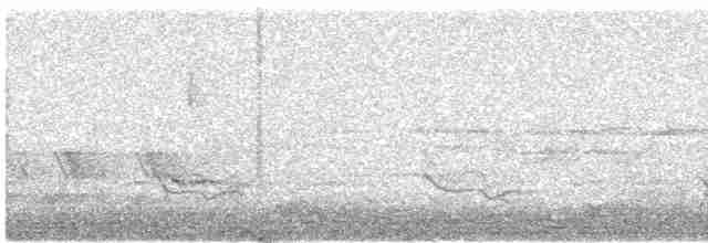 Дрізд-короткодзьоб Cвенсона - ML618060775