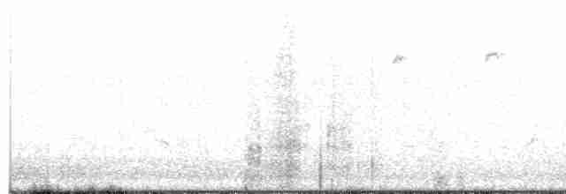 Reinita Coronada (coronata x auduboni) - ML618061621