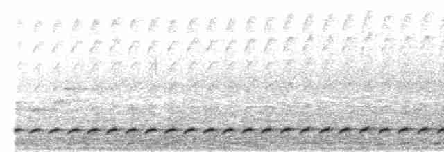 Bindenbrust-Ameisendrossel - ML618061847