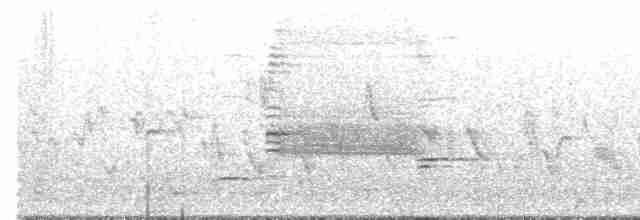 vlhovec červenokřídlý - ML618063888