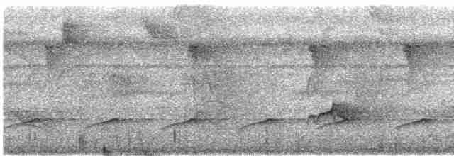 Лінивка-строкатка чорновола - ML618064120