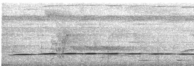 Tororoí de Anteojos (perspicillatus) - ML618064157