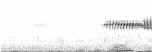 Paruline verdâtre - ML618065071