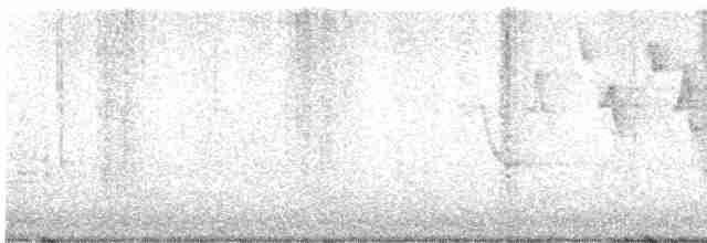 Червоїд сіроголовий - ML618065852