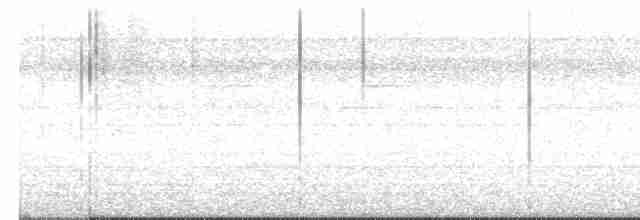 Pauraquenachtschwalbe - ML618066012