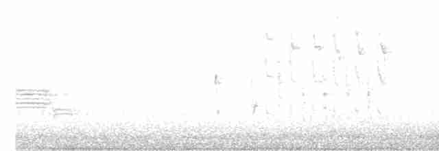 Troglodyte des marais - ML618066859