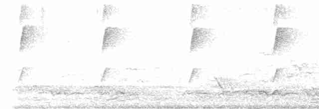 Weißbürzel-Krähenstar - ML618066988