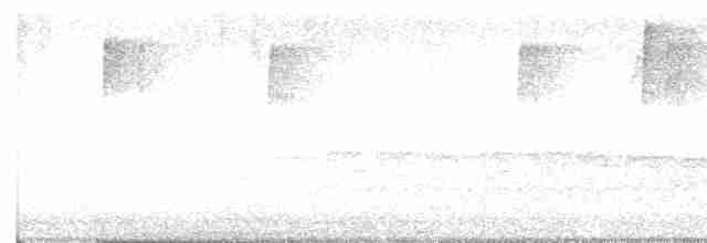 Sarı Karınlı Sinekkapan - ML618067108