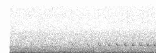 Black-headed Trogon - ML618067280