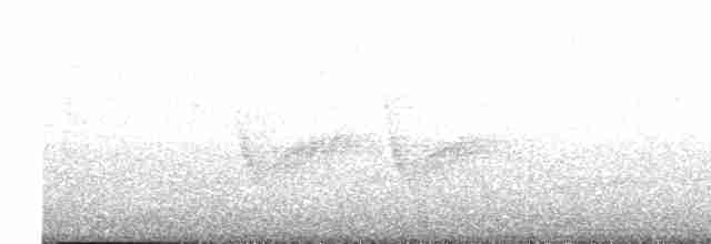 Віреон мангровий (підвид ochraceus/semiflavus) - ML618067742