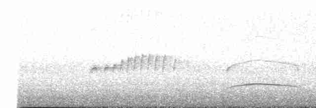 mørkhettetyrann (lawrenceii gr.) - ML618067786