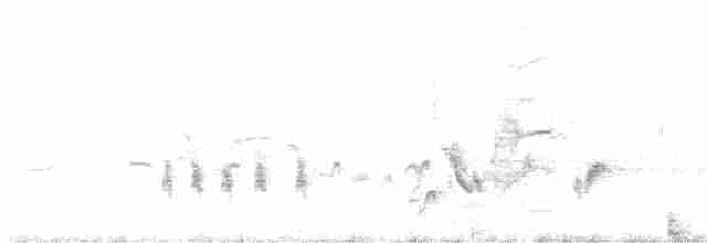 drozdec hnědý - ML618068993