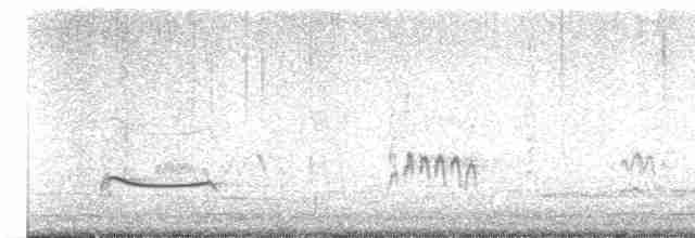 灰斑鴴 - ML618069024