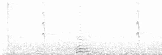 Common Tern - ML618069668
