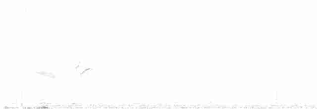 Great Reed Warbler - ML618069697