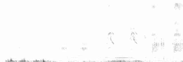 Weißbart-Seeschwalbe - ML618069715