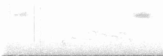 Gray-streaked Flycatcher - ML618070445