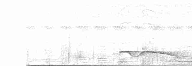 Great Eared-Nightjar - ML618070954