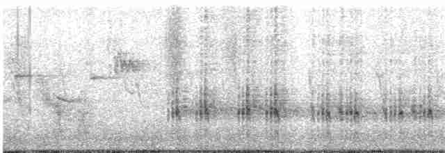 Great Reed Warbler - ML618071326